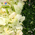 máquina de corte vegetal industrial resistente