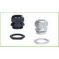 /msite/products/detail/productid/57560955/id/675894.html