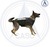 NIJ0101.06 level IIIA Bulletproof Vest for Police Dog