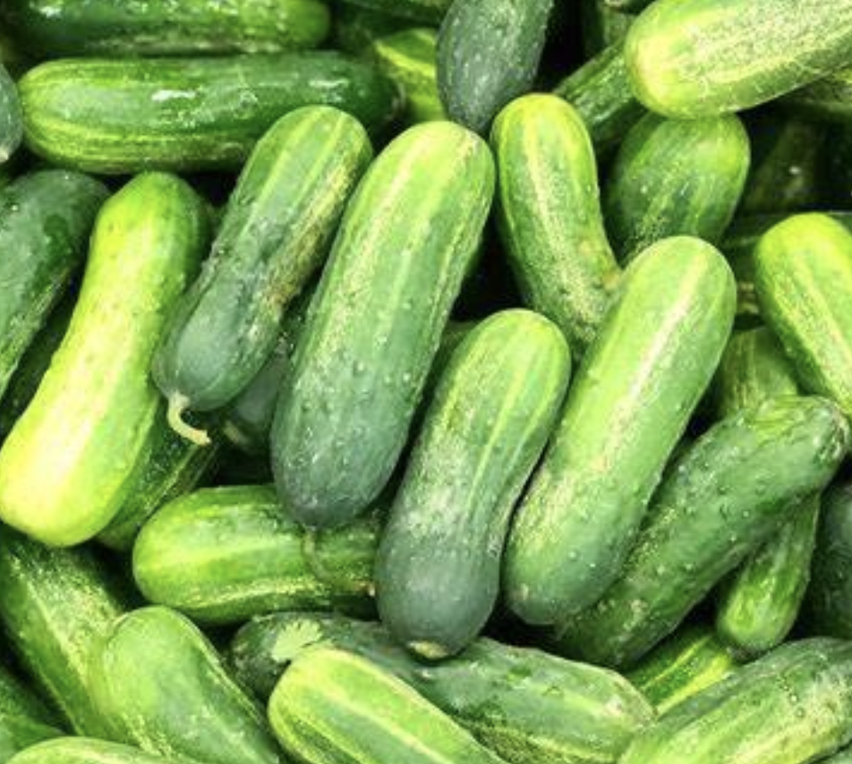 Cucumber Vegetable Ingredient