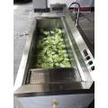 ST-SQX1800 Collection Tank Industrial Vegetable Washer