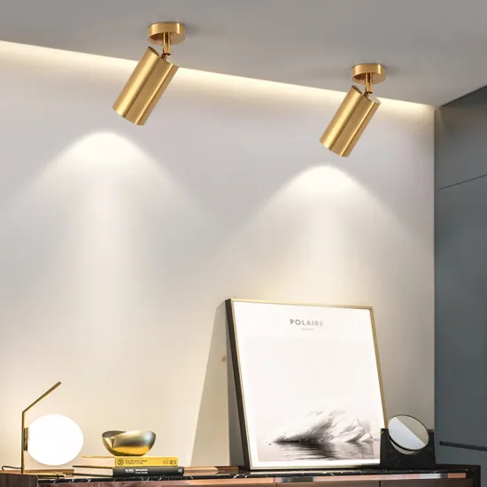 Lumind Golden Spotlight Nordic Ceiling Track Light: Adjustable Down Light for Indoor Lighting