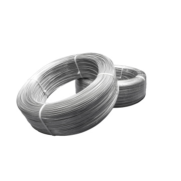 Company price 7x19 stainless steel wire rope