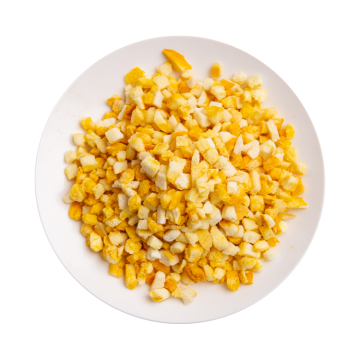 Wholesale Frozen Dried Mango - Sweet and Tangy Fruit Delight