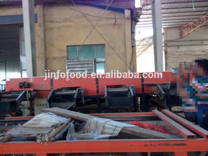 Best quality Jinxiang garlic