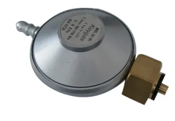 Ce Certified BBQ Gas Grill Regulator for Holland