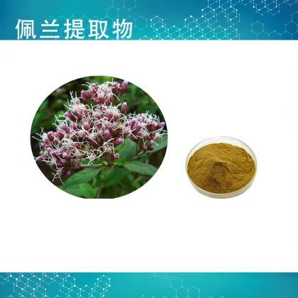 Perrin Extract Powder fortune eupatorium herb extract