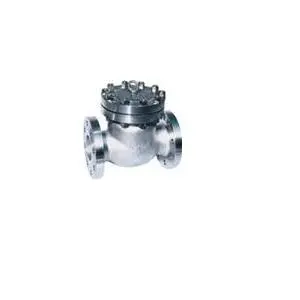 Stainless Steel Check Valve 2