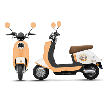 Electric Scooter Search: Rentals, Reviews, and Buying Guide