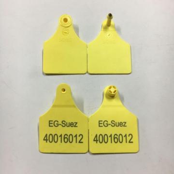 Twin ear tag