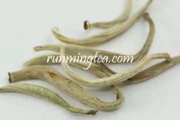 Imperial White Pine Needle Tea
