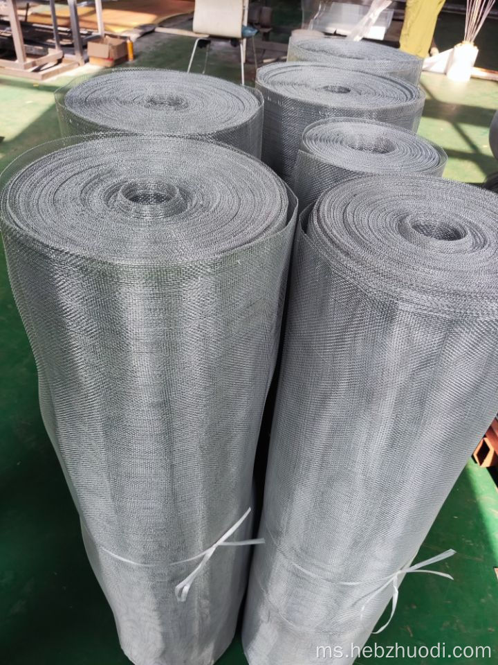 Electro Galvanized Nyamuk Nyamuk