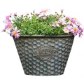 American tin meaty flowerpot