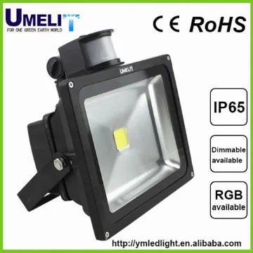 Floodlight With Induction Lamp CE RoHSLike