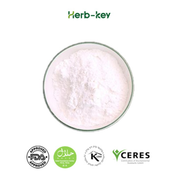 Food Grade Vitamin B6 Powder Pyridoxine Hydrochloride