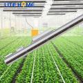 luzes led de crescimento de espectro completo para plantas de interior