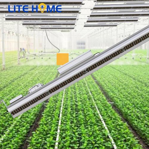 luces de cultivo led de espectro completo para plantas de interior