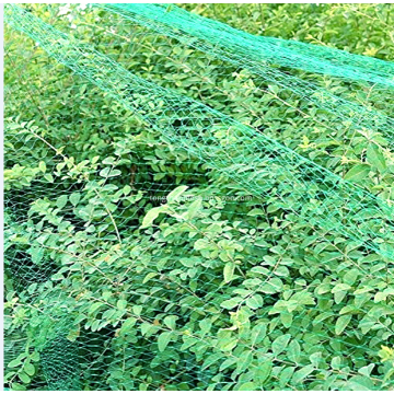 Plastiklandwirtschaftliche Frucht-Vogel-Masche