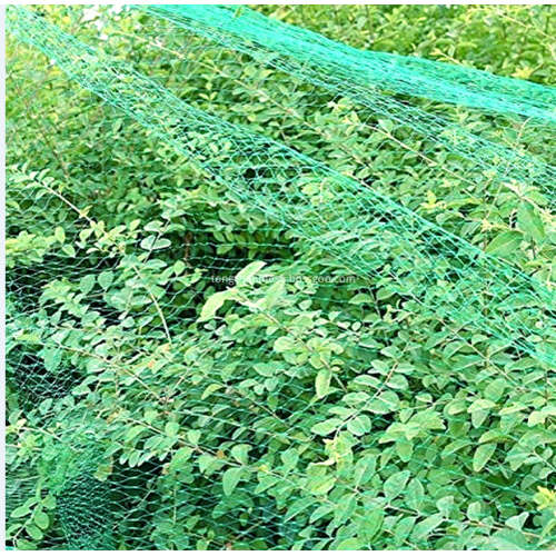 Plastic Agricultural Fruit Bird Mesh