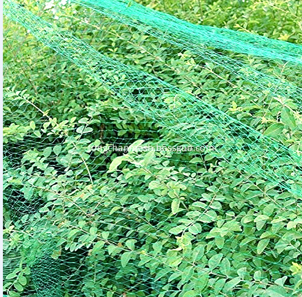 Agricultural Fruit Bird Netting