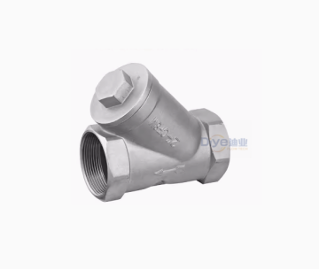 Stainless steel Y-type check valve