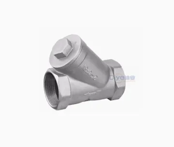 Stainless steel Y-type check valve