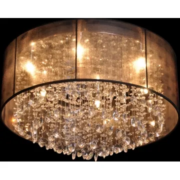 High Quality Ceiling Lamp