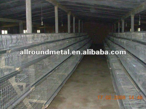 20 years lifetime cheap chicken cage