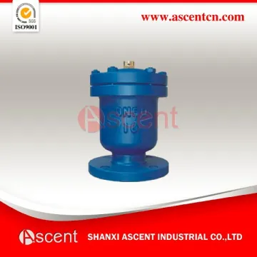 Flange Air Release Valve