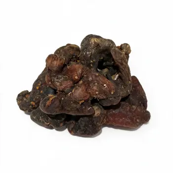 Clean Processed Polygonatum Rhizome