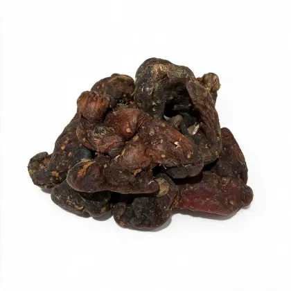 Clean Processed Polygonatum Rhizome