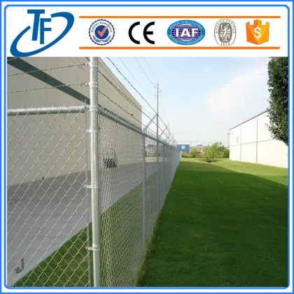 chain-link fences dog kennel