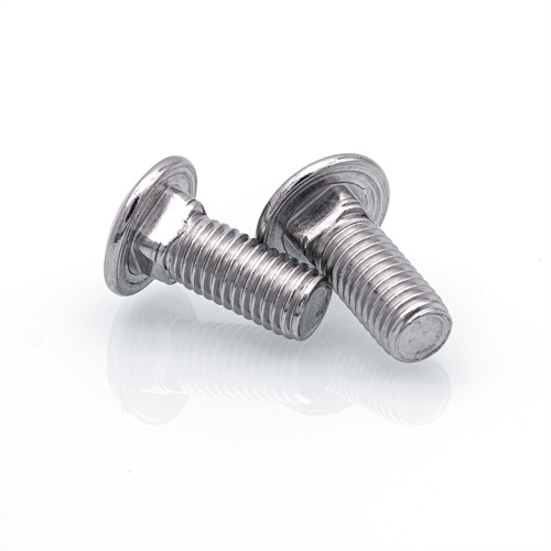 Stainless Steel Carriage Bolt