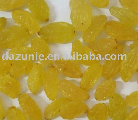 Dried Golden Raisins