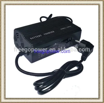 special sales 5A battery charger 12V