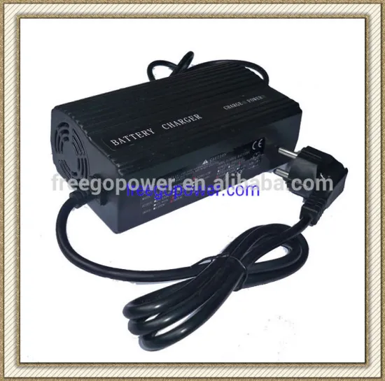 special sales 5A battery charger 12V