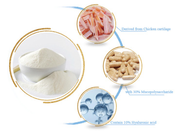 คอลลาเจน Type II พร้อม chondroitin และกรด hyaluroinic