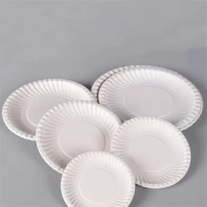 Disposable Rippled Edge Plate Sugarcane Bagasse Plates