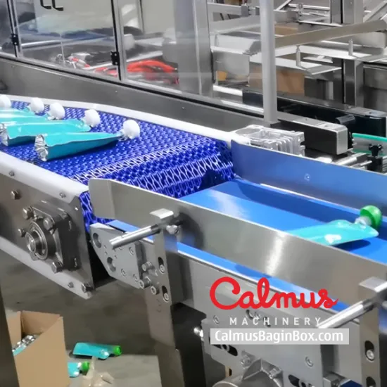 Pouch Case Packer Machine Doypack Packaging Line