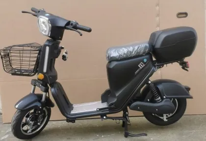 Large Lithium Battery Capacity Electric Bike Bicycle