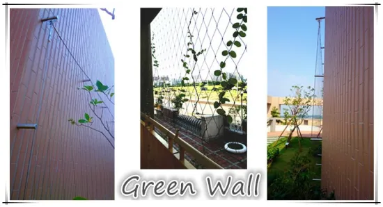 Indoor or Out door Stainless Steel antirust Green Plant Climbing Wall Mesh
