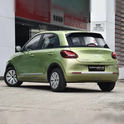 Dongdong High Speed Mini Electric Car Wuling Bingo 2023 333KM for Russia and Uzbekistan