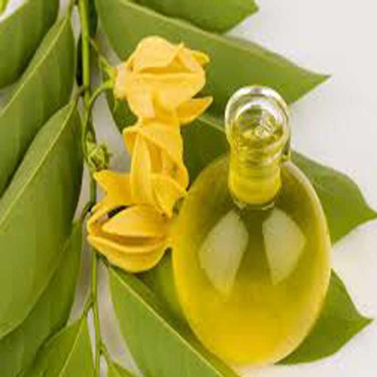 Minyak esensial Ylang berkualitas tinggi untuk perawatan rambut