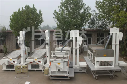 Petits Pois Magnetic Separator Equipment