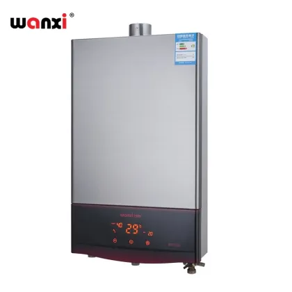 Hot Sale Factory Manufacturer Biogas Water Heater