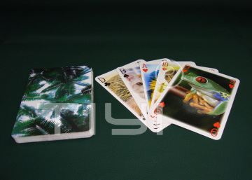 Game Card / Printed Card / Paper Card