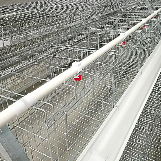 Factory-Priced Automatic Layer Cage for Poultry Farm with Galvanized Steel Wire Mesh