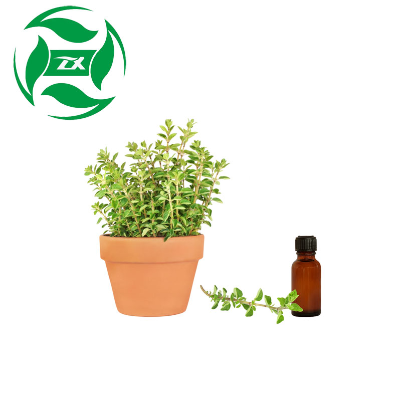 Hot selling expelling parasite Linalyl Oil