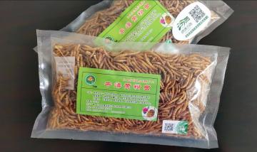 good window bird food
