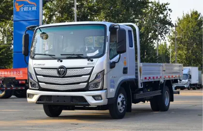 Used Electric Foton Cargo Truck for Sale